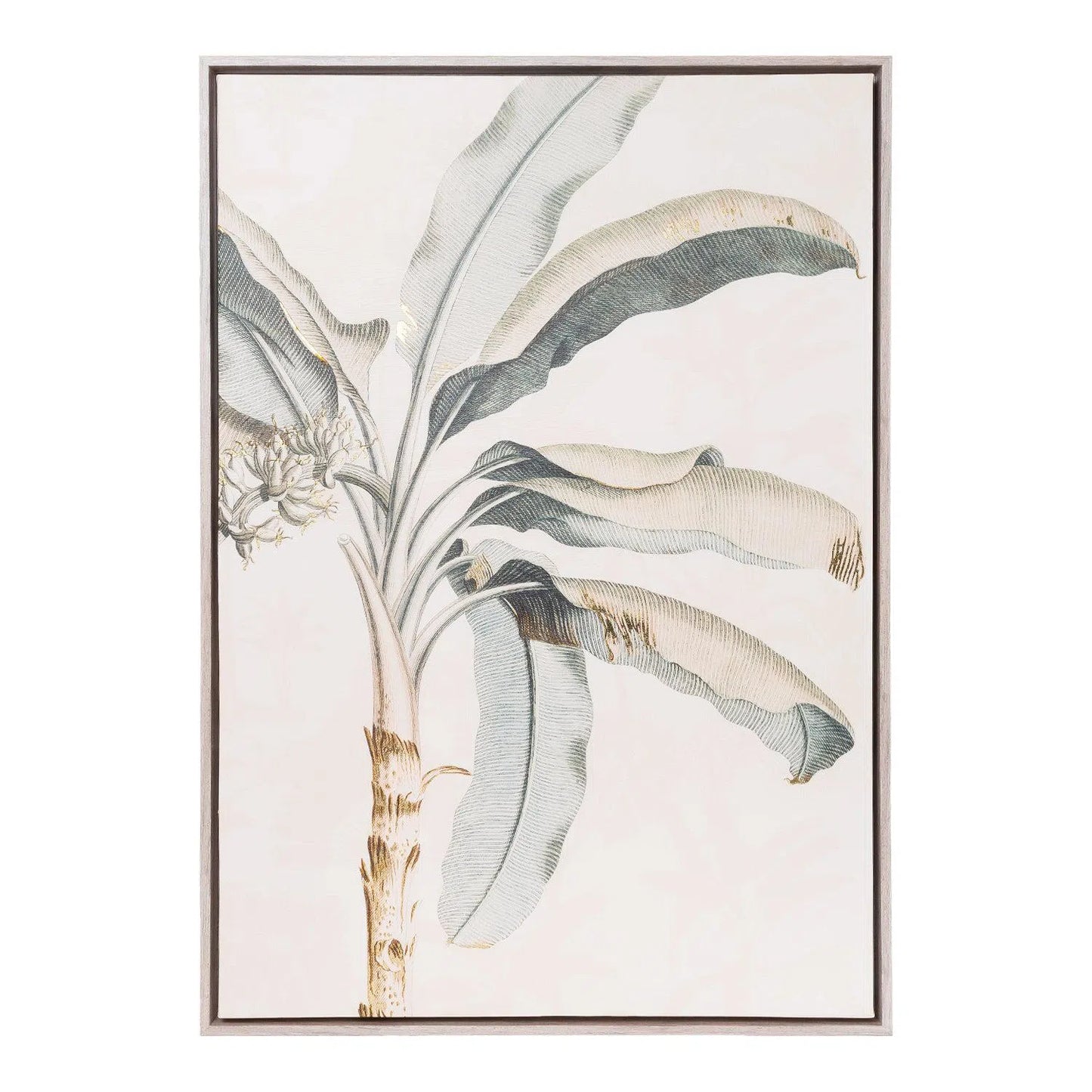 Exotic Left Palm Framed Canvas 94x64-Sleep Doctor