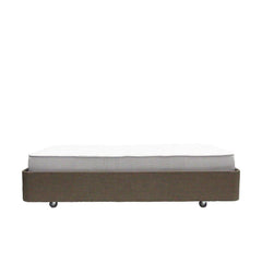 1000-360 Head Foot Adjustable Bed with Washable Cover and Standard Mattress